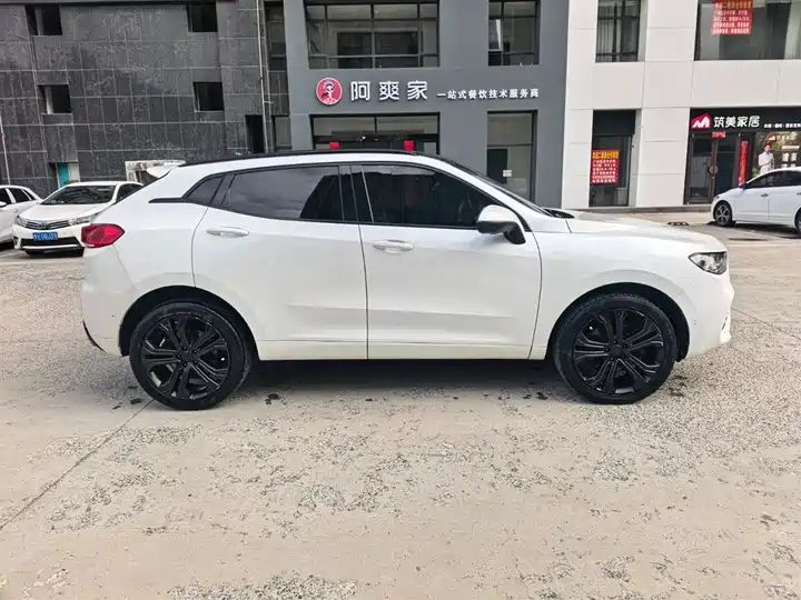 2.0T Flagship LHD SUV | Good Condition Used Chinese Cars Wholesale Export Sourcing 4
