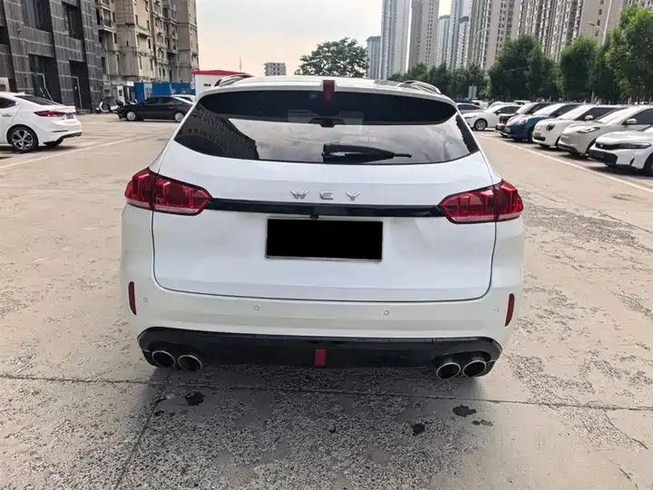 2.0T Flagship LHD SUV | Good Condition Used Chinese Cars Wholesale Export Sourcing 6