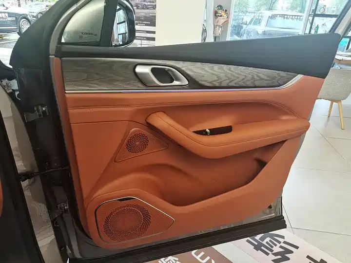Voyager 225km Range Extended Hybrid LHD Used Cars Export From China 7