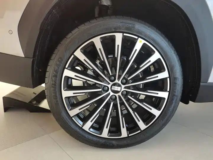 Voyager 225km Range Extended Hybrid LHD Used Cars Export From China 17