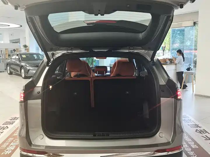 Voyager 225km Range Extended Hybrid LHD Used Cars Export From China 20