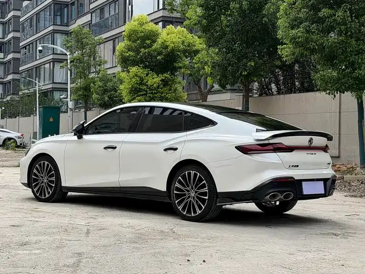 2.0T Automatic Supreme Luxury LHD | Chinese Second Hand Car Export to Ghana, Algeria, Nigeria 6