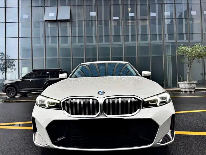 320Li 2.0T M Sport Package LHD Used Cars Wholesale | China Second Hand Vehicle Export Supplier 2