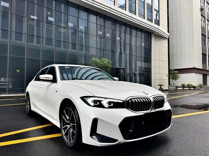 320Li 2.0T M Sport Package LHD Used Cars Wholesale | China Second Hand Vehicle Export Supplier 3