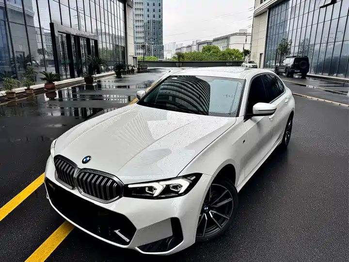 320Li 2.0T M Sport Package LHD Used Cars Wholesale | China Second Hand Vehicle Export Supplier 4