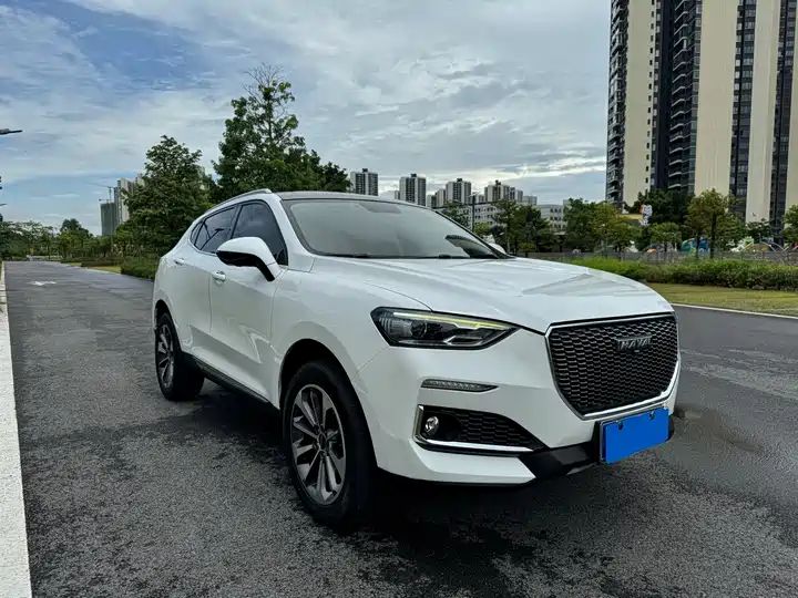 1.5T LHD SUV, Authentic Chinese Second Hand Cars for Export to Ghana, Nigeria, Algeria 3