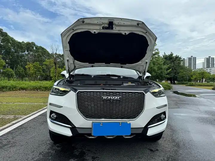 1.5T LHD SUV, Authentic Chinese Second Hand Cars for Export to Ghana, Nigeria, Algeria 4
