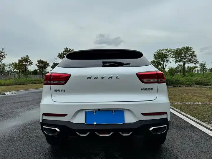 1.5T LHD SUV, Authentic Chinese Second Hand Cars for Export to Ghana, Nigeria, Algeria 7