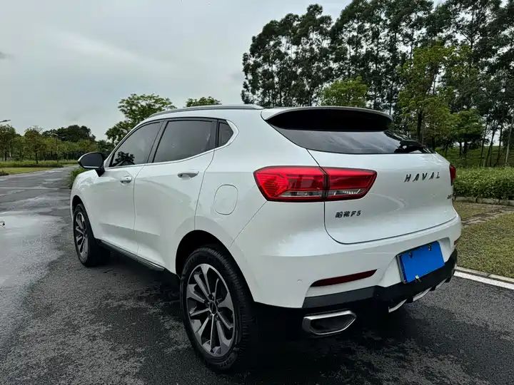 1.5T LHD SUV, Authentic Chinese Second Hand Cars for Export to Ghana, Nigeria, Algeria 8