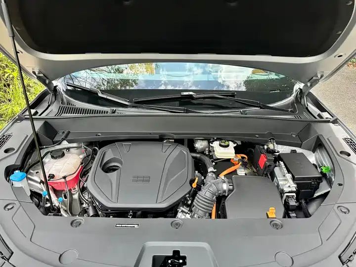 120km Pilot Edition LHD EV, Chinese Second Hand Cars Export to Nigeria, Ghana, Algeria 20