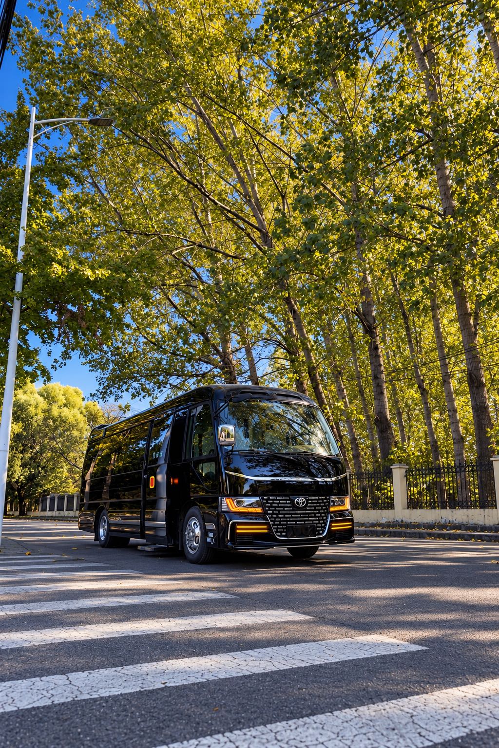 Bus 12-Seat Caesar Gulfstream Version, LHD, With Paint Protection Film, Used Car Export from China, Custom Available - Image 1