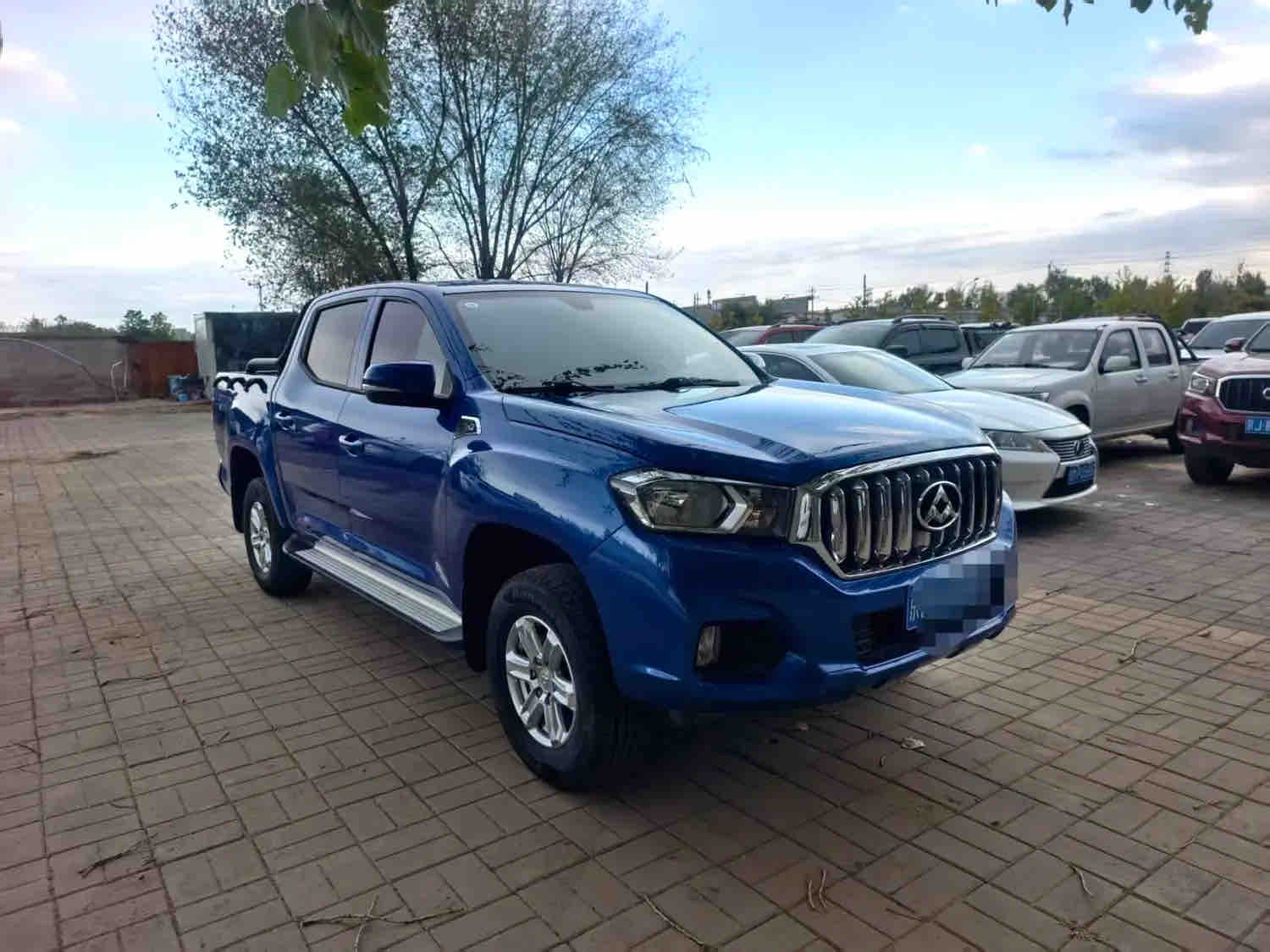 2.4 Petrol 2WD High Ground Clearance Elite Double Cab Manual LHD Pickup, China Used Pickup Export 2