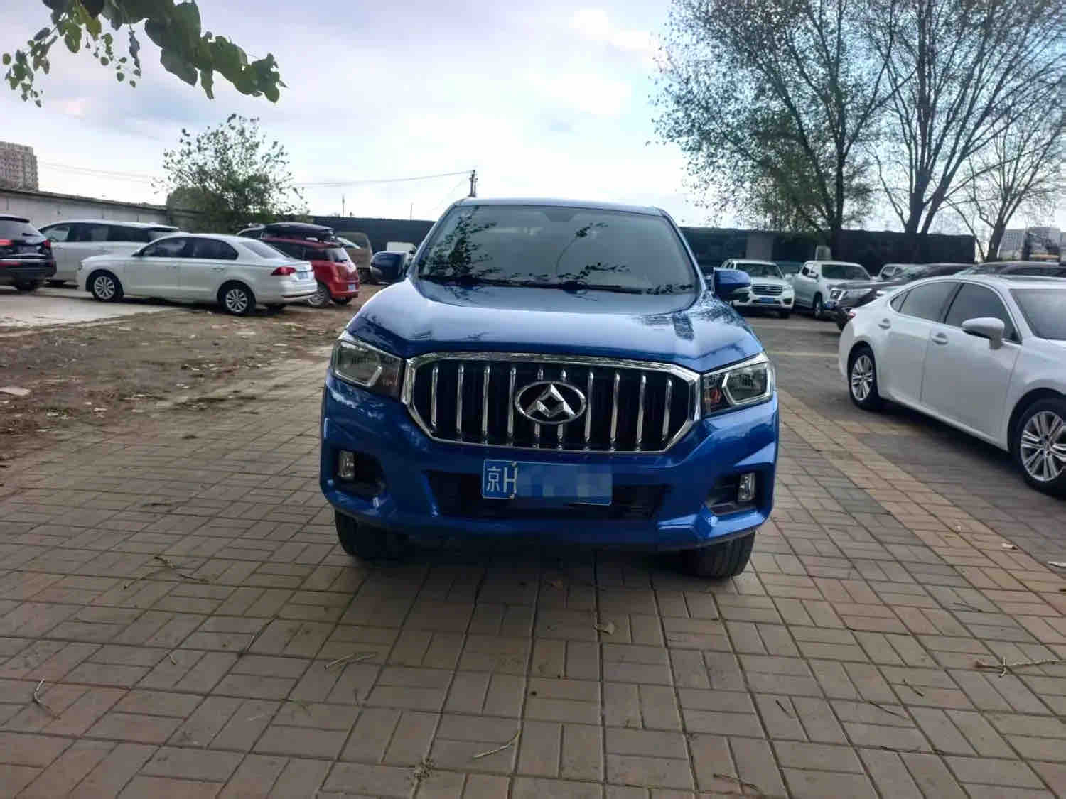 2.4 Petrol 2WD High Ground Clearance Elite Double Cab Manual LHD Pickup, China Used Pickup Export 5